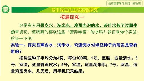 廚房里的綠豆魔法 居家實(shí)驗(yàn)探索生命的奧秘
